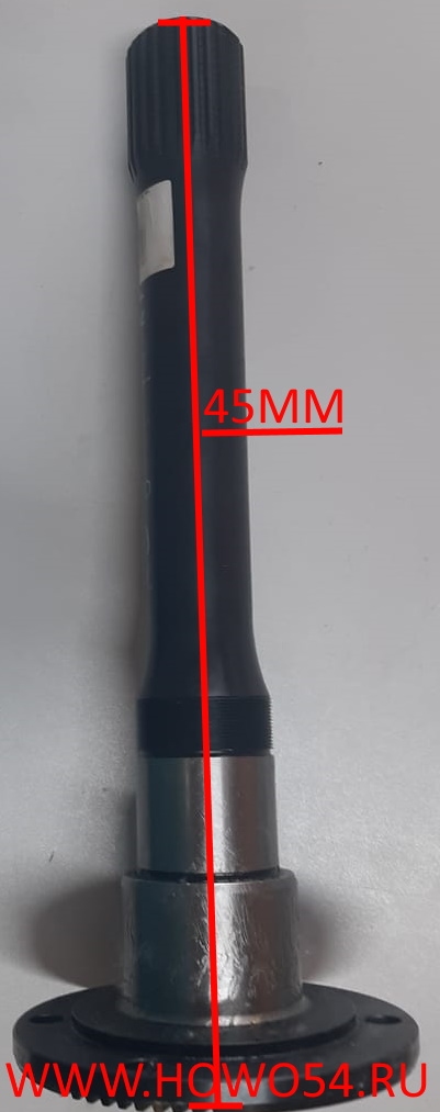 11650