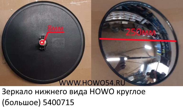 12304