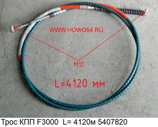 16856