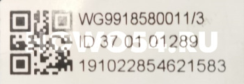 17645